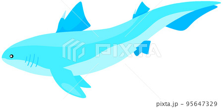 ヒボドゥス 95647329