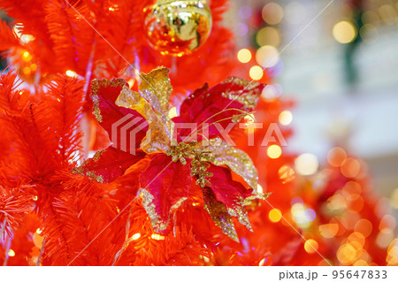 Christmas red flower and bell at red tree with led background Christmas red flower and bell at red tree with led background 95647833