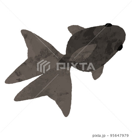 水彩風の上から見た黒色の金魚 95647979