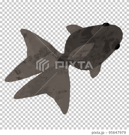 水彩風の上から見た黒色の金魚 95647979