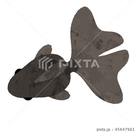 水彩風の上から見た黒色の金魚 水彩風の上から見た黒色の金魚 95647981