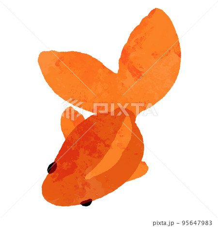 水彩風の上から見た赤色の金魚 95647983