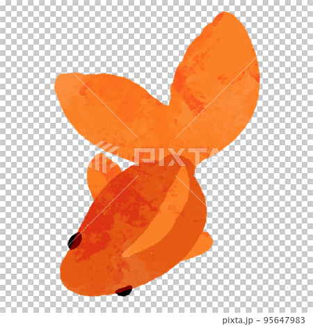 水彩風の上から見た赤色の金魚 95647983