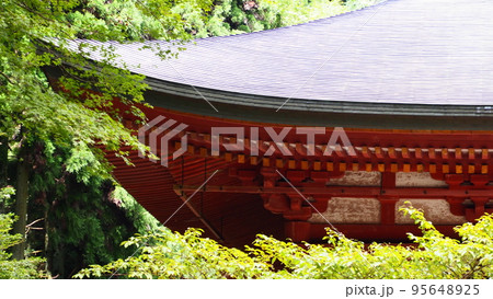 世界文化遺産 天台宗 比叡山 延暦寺 西塔 釈迦堂 95648925