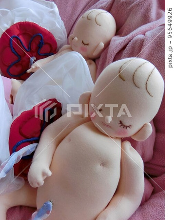可愛らしい等身大の胎児人形コロン 95649926