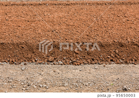 Peat soil is used as a background 95650003