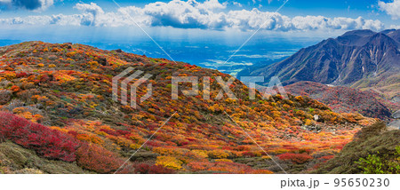 大船山は九重連山で3番目に高い山,春はミヤマキリシマの大群落,秋は紅葉のグラデーション,冬は雪化粧 95650230