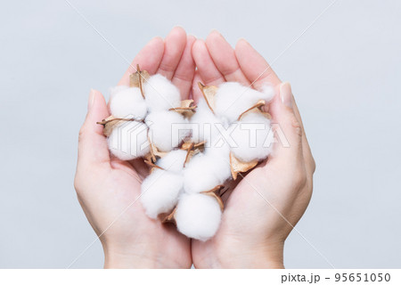 真綿を持つ女性の手 95651050