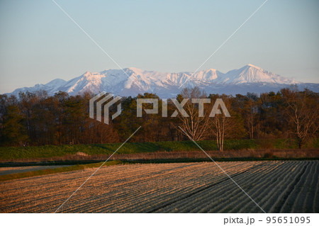 夕日の大雪山、初冬、比布町から遠景 夕日の大雪山、初冬、比布町から遠景 95651095