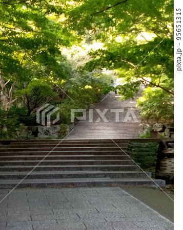 紅葉直前の勝尾寺 紅葉直前の勝尾寺 95651315