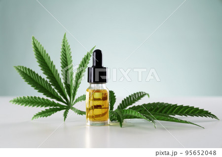 Legalized cannabis sativa hemp leaf and container of CBD oil with dropper lid. 95652048