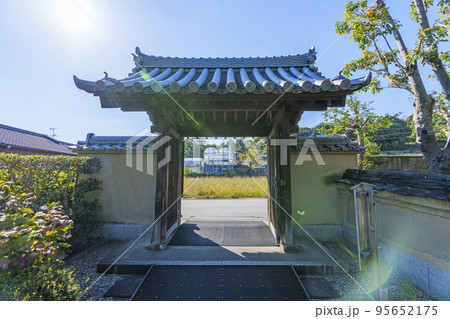 法起寺 西門から出るとコスモス畑が迎えてくれる(奈良県斑鳩町) 法起寺 西門から出るとコスモス畑が迎えてくれる(奈良県斑鳩町) 95652175
