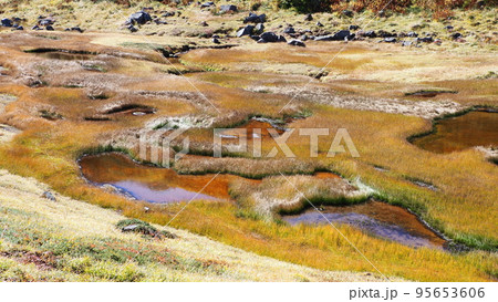 富山県 立山連峰 室堂 血の池 富山県 立山連峰 室堂 血の池 95653606