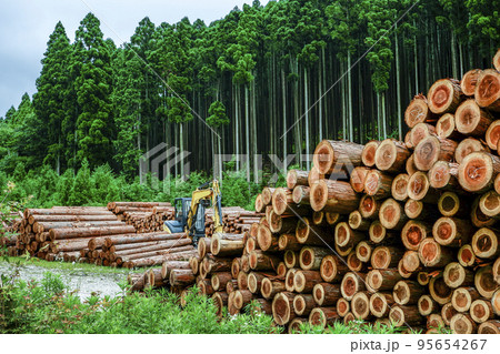 樹林を背景に見る積み上げられた丸太と重機 95654267