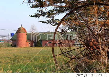 北海道　十勝地方　牧場のある風景 95654486