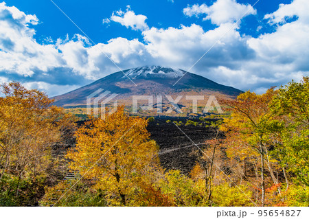 岩手県 紅葉に染まる岩手山　～焼走り熔岩流～ 95654827