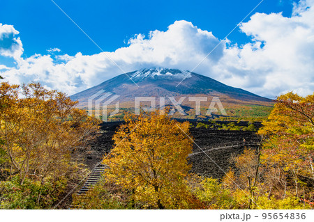 岩手県 紅葉に染まる岩手山 ~焼走り熔岩流~ 岩手県 紅葉に染まる岩手山 ~焼走り熔岩流~ 95654836