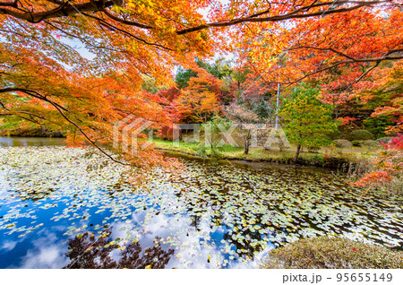 福島県 紅葉に染まる蛇ノ鼻 福島県 紅葉に染まる蛇ノ鼻 95655149