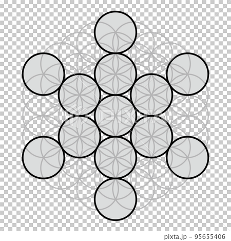 生命之果繪在神聖幾何生命之花上,單色 生命之果繪在神聖幾何生命之花上,單色 95655406