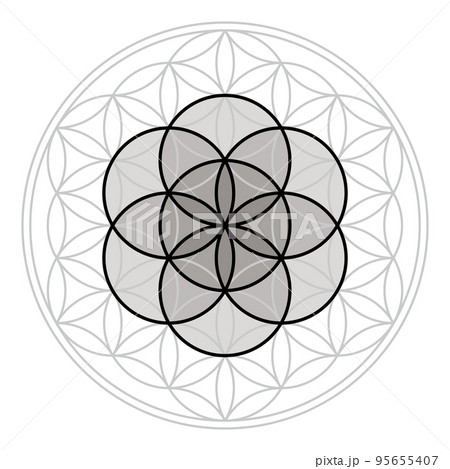 神聖幾何学フラワーオブライフの上に配置されたシードオブライフ、モノクロ 神聖幾何学フラワーオブライフの上に配置されたシードオブライフ、モノクロ 95655407