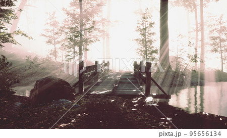 Wooden bridge in the forest in the fog Wooden bridge in the forest in the fog 95656134