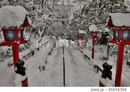 雪の貴船神社本宮境内～モノクロの世界に朱色が射す 95656366