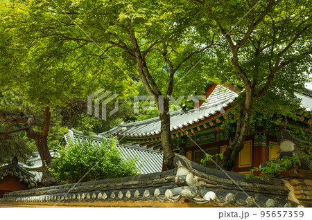 自然 風景 建築物 95657359