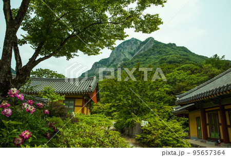 自然 風景 建築物 95657364