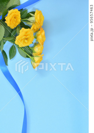 黄色のバラ 95657463