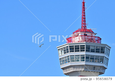 福岡市の風景　博多ポートタワー 95658079