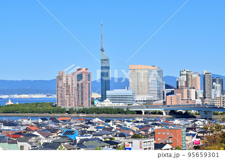 福岡市の風景 福岡タワー 福岡市の風景 福岡タワー 95659301