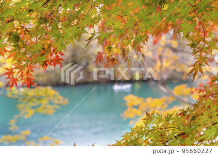 秋の五色沼自然探勝路　毘沙門沼　福島県北塩原村 95660227