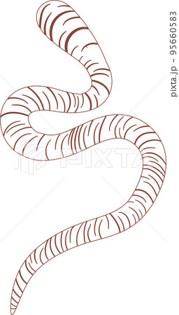 worm outline