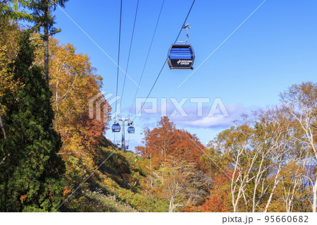 秋の野沢温泉紅葉見頃な長坂ゴンドラからの眺望 95660682