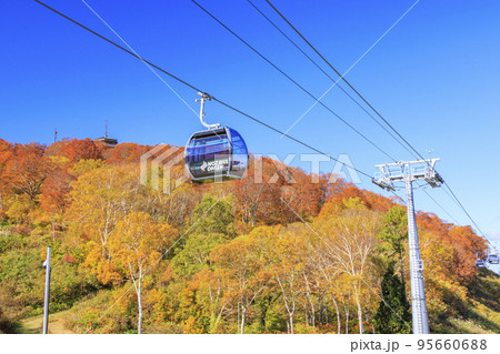 秋の野沢温泉紅葉見頃な長坂ゴンドラからの眺望 95660688