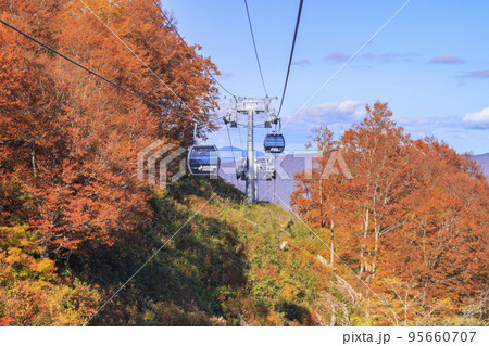 秋の野沢温泉紅葉見頃な長坂ゴンドラからの眺望 95660707