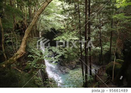 付知峡 岐阜県中津川 付知峡 岐阜県中津川 95661489