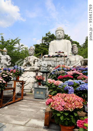 壷阪寺 奈良県 壷阪寺 奈良県 95661769