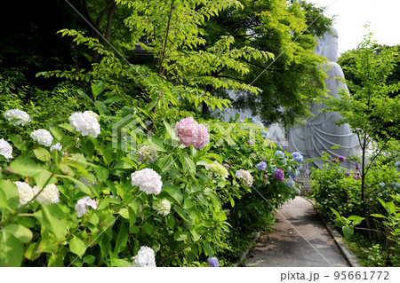 壷阪寺　奈良県 95661772