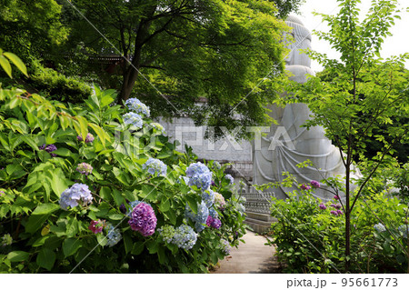 壷阪寺　奈良県 95661773