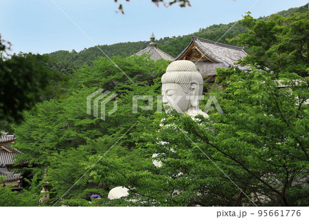 壷阪寺　奈良県 95661776