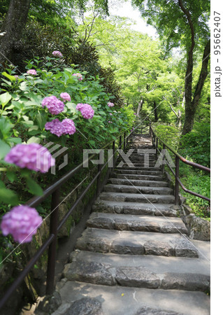 長谷寺 奈良県 長谷寺 奈良県 95662407