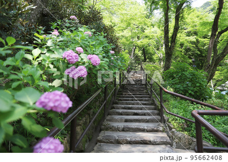 長谷寺 奈良県 長谷寺 奈良県 95662408