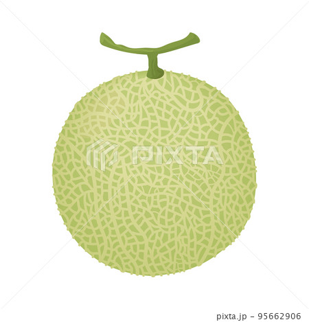 網目が見えるメロン 95662906