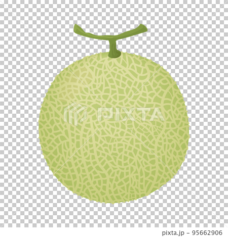 網目が見えるメロン 95662906