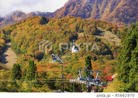 紅葉見頃な妙高山とスカイケーブル 95662970
