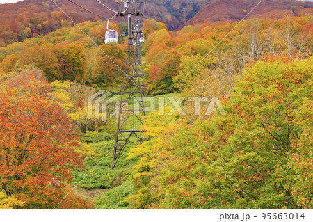 紅葉見頃な妙高山とスカイケーブル 95663014