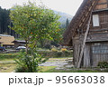 白川郷 95663038