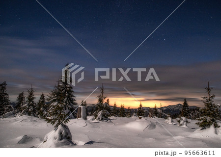Winter mountain landscape. Snowy trees under sky at night in Smrekovica, Slovakia 95663611