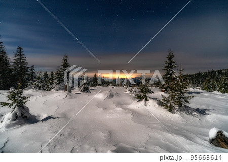 Winter mountain landscape. Snowy trees under sky at night in Smrekovica, Slovakia 95663614
